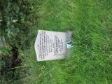 image of grave number 602950
